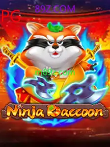 NinjaRaccoon